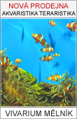 Vivarium