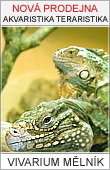 Vivarium