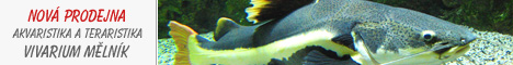 Vivarium